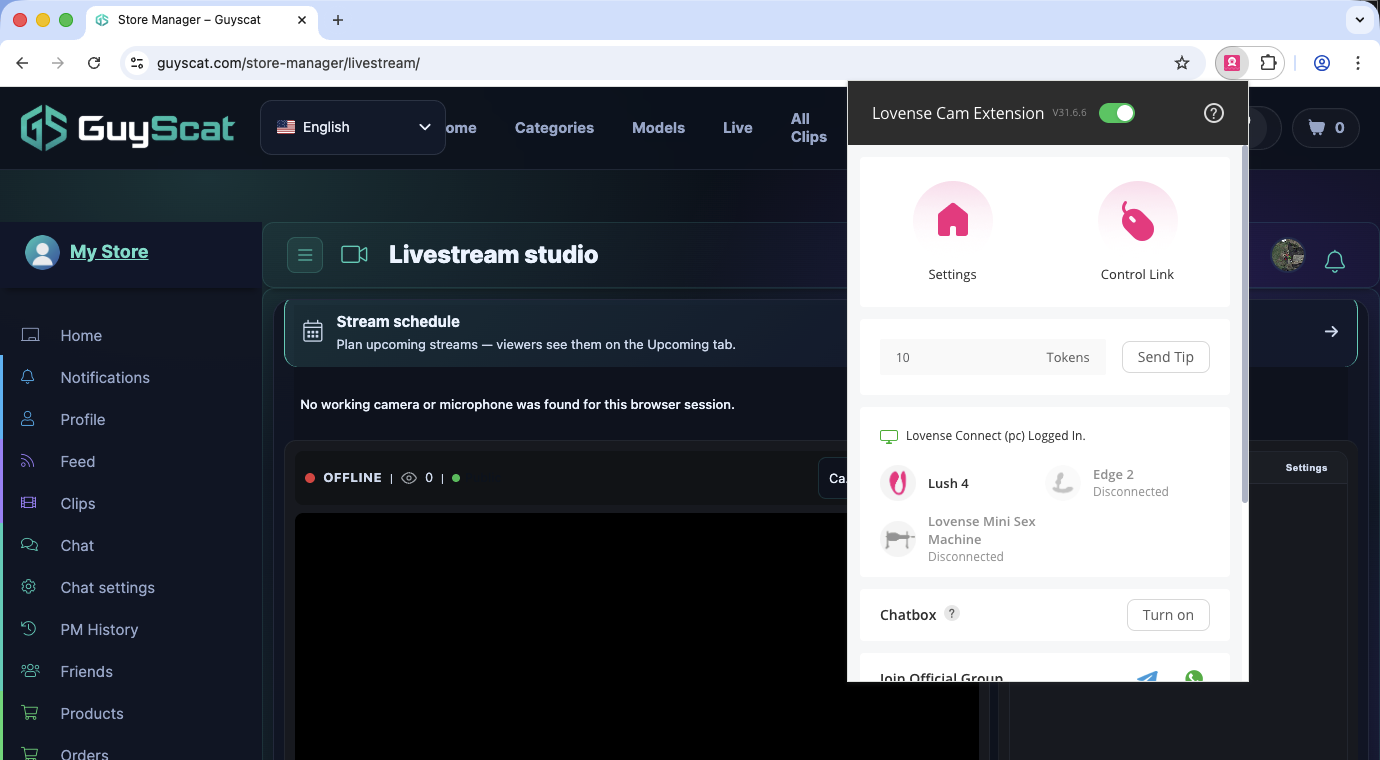 The extension pinned to the toolbar — the popup opens over your Lewdden studio.