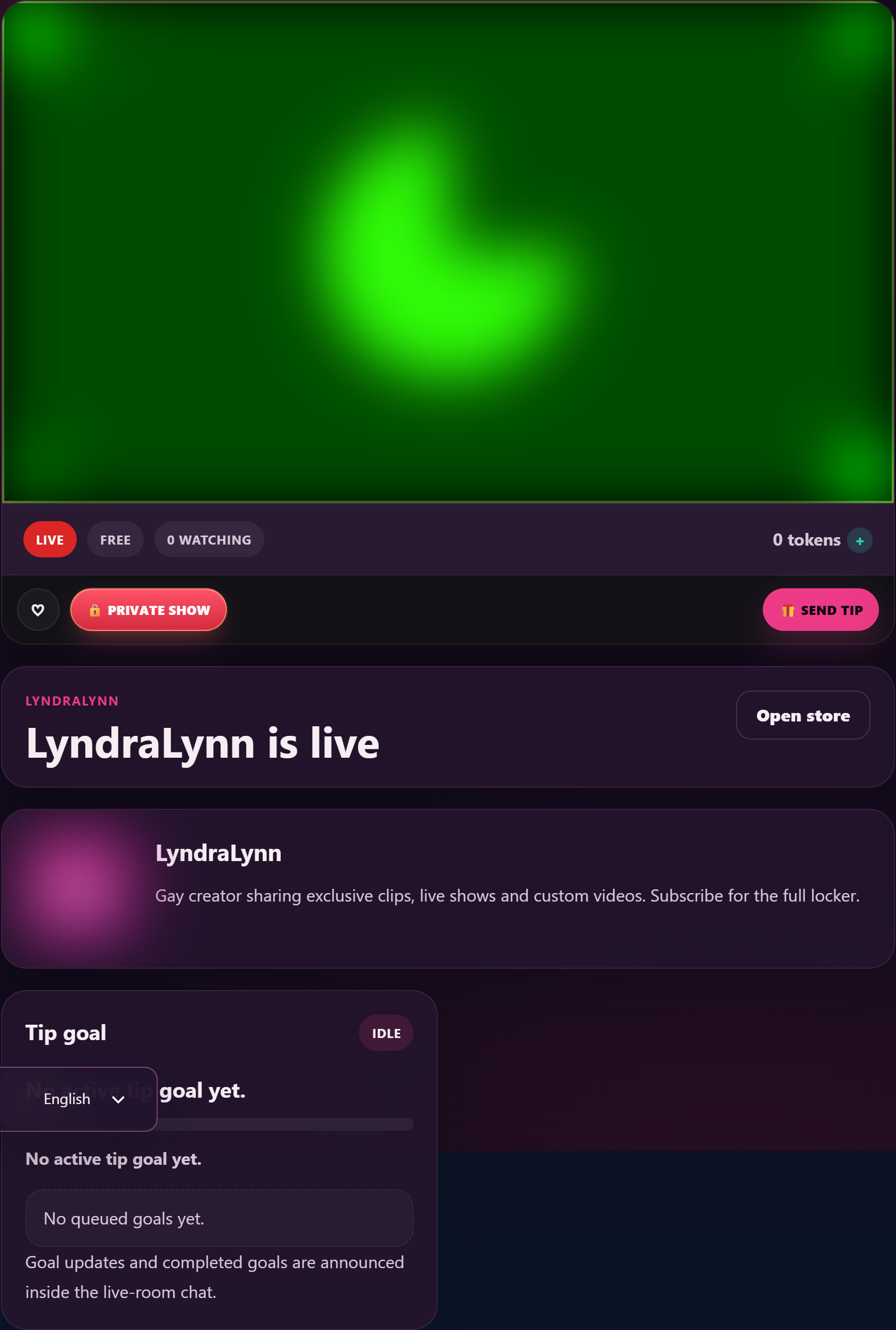 A public room from the viewer's side — chat, tip menu and goal bar.