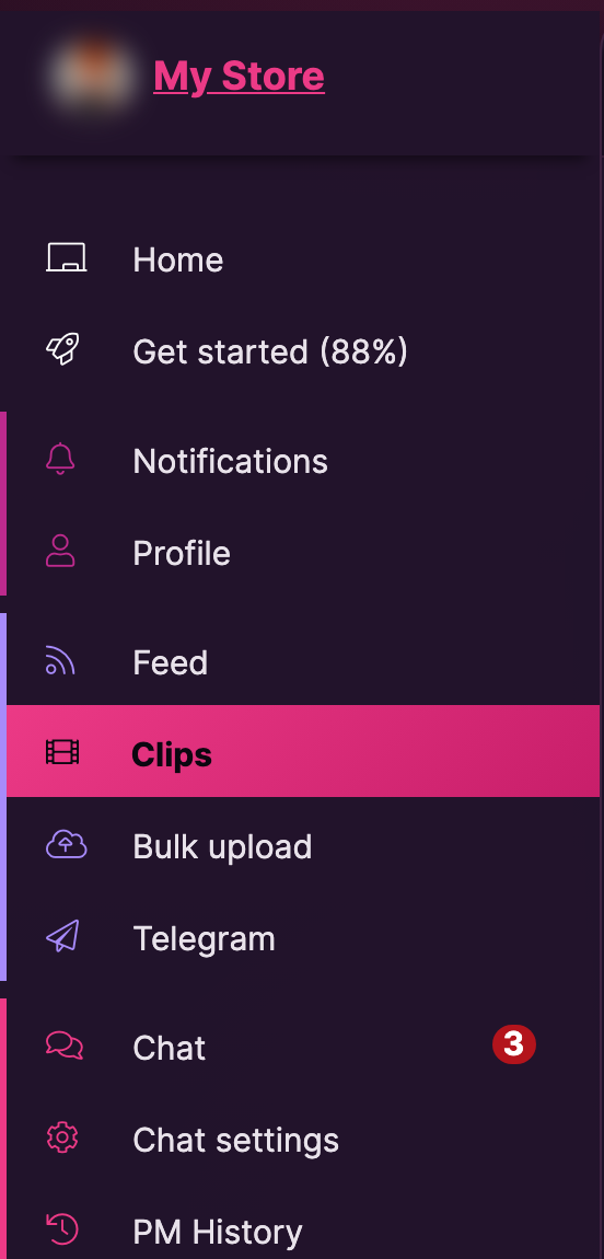 The Store Manager menu with the Clips item highlighted